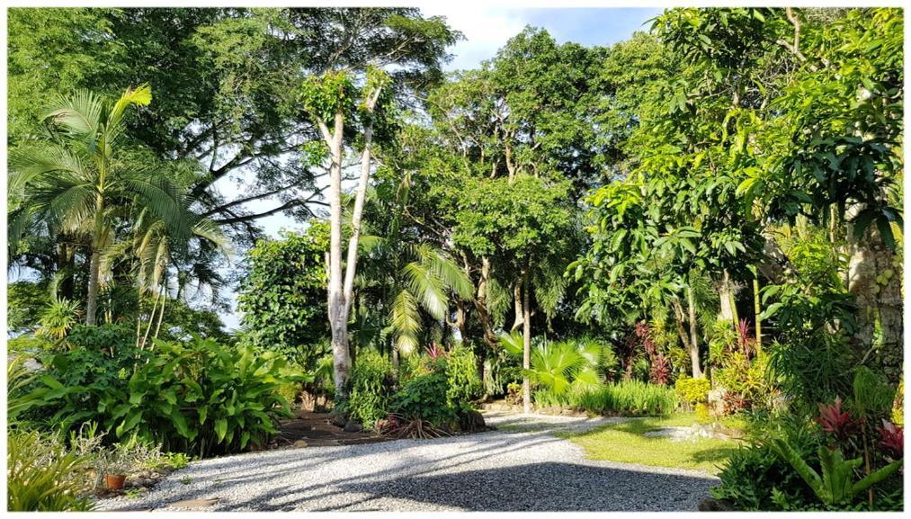 Baan Sakuna Hotel Chiang Khong Exteriér fotografie